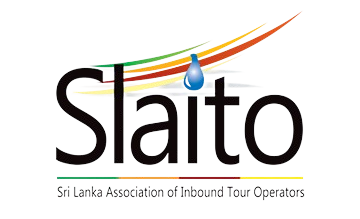 slaito-removebg-preview.png